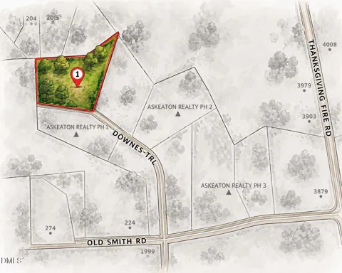 50 Downes Trail