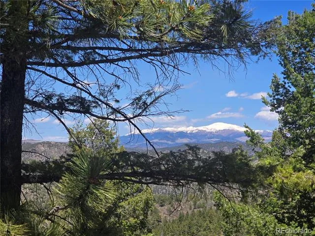 Peak View Ridge Canon City, CO 81212