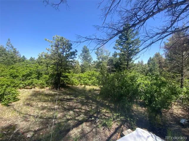 Peak View Ridge Canon City, CO 81212