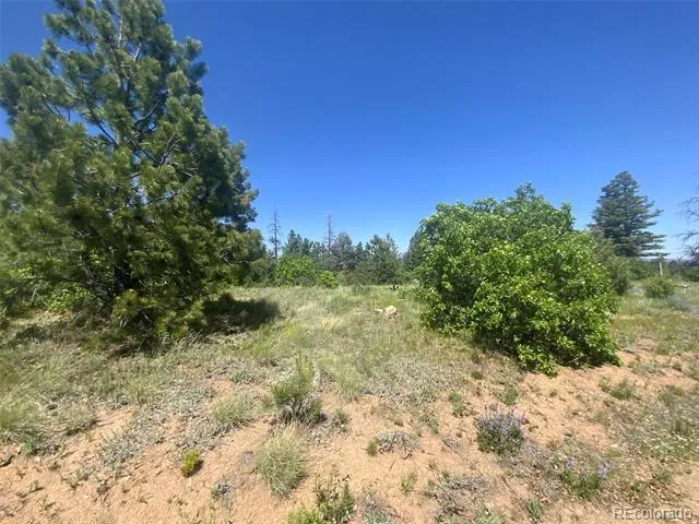Peak View Ridge Canon City, CO 81212