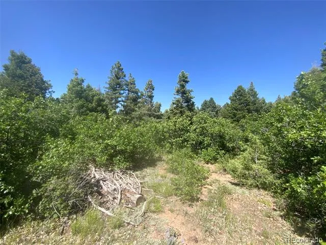 Peak View Ridge Canon City, CO 81212