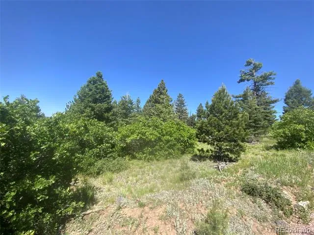 Peak View Ridge Canon City, CO 81212