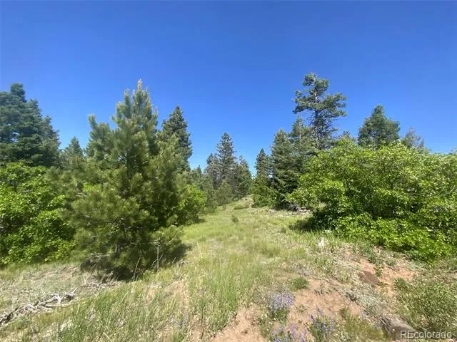 Peak View Ridge Canon City, CO 81212