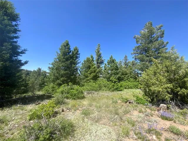 Peak View Ridge Canon City, CO 81212