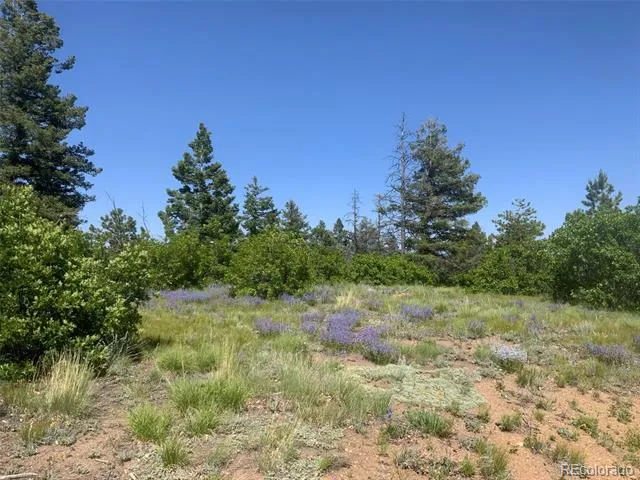 Peak View Ridge Canon City, CO 81212