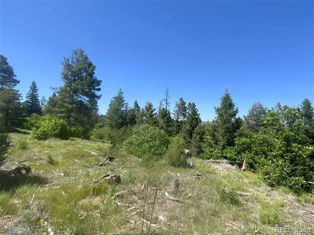 Peak View Ridge Canon City, CO 81212