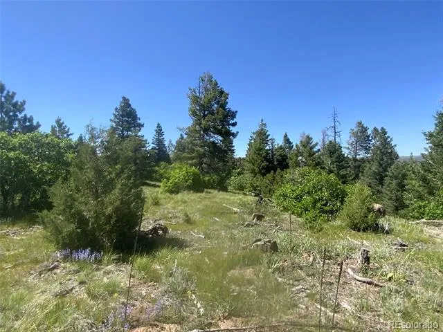 Peak View Ridge Canon City, CO 81212