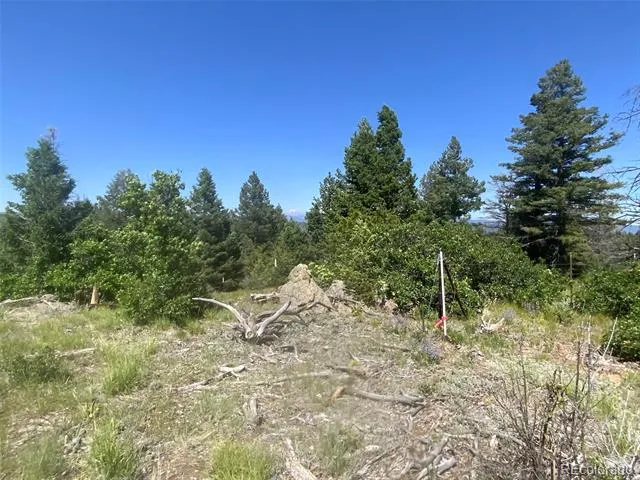 Peak View Ridge Canon City, CO 81212