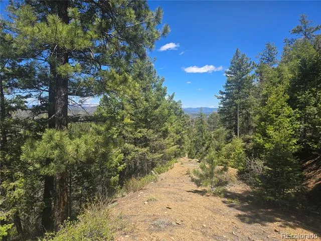 Peak View Ridge Canon City, CO 81212