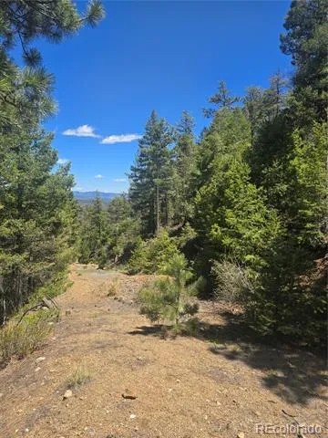 Peak View Ridge Canon City, CO 81212