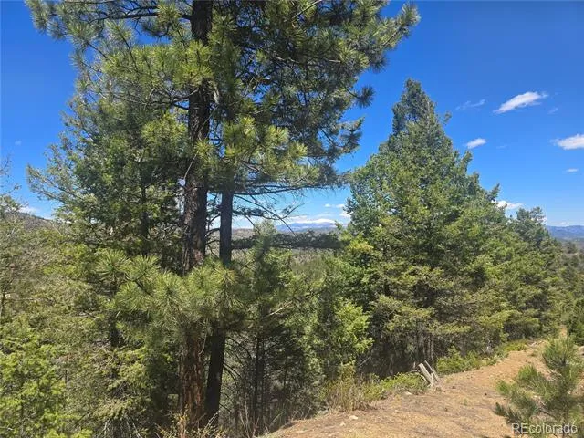 Peak View Ridge Canon City, CO 81212