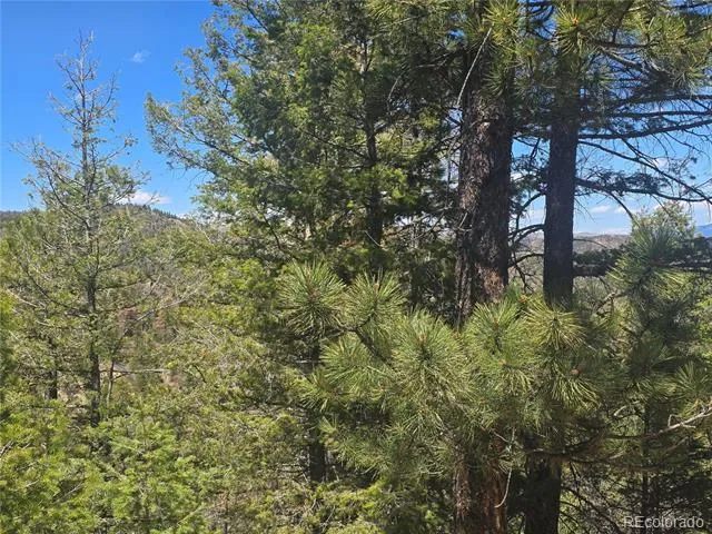 Peak View Ridge Canon City, CO 81212