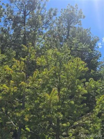 Peak View Ridge Canon City, CO 81212