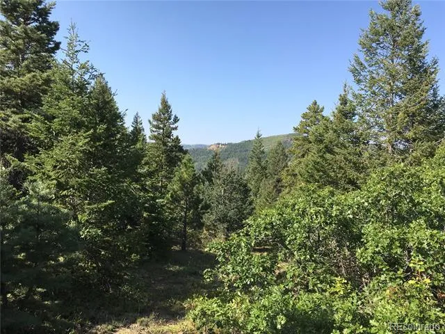 Peak View Ridge Canon City, CO 81212