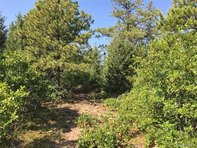 Peak View Ridge Canon City, CO 81212