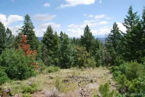 Peak View Ridge Canon City, CO 81212