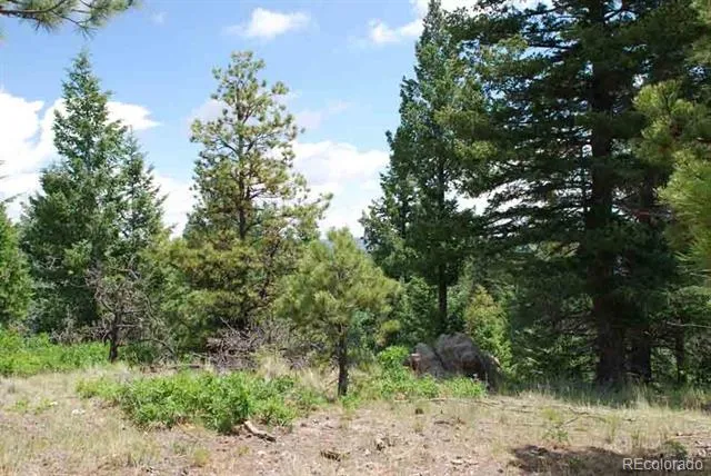 Peak View Ridge Canon City, CO 81212