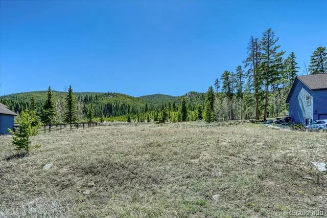 370 Meadow Wood Circle Dillon, CO 80435
