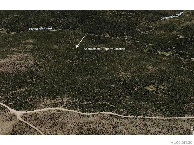 0 Forest Service 169 Lot #10 Road Red Feather Lakes, CO 80545