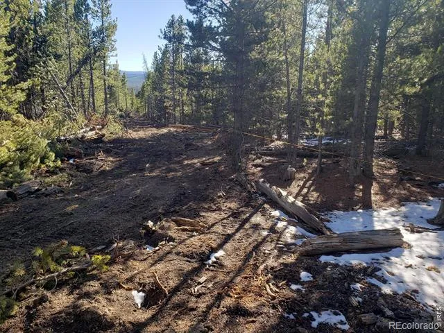 0 Forest Service 169 Lot #10 Road Red Feather Lakes, CO 80545