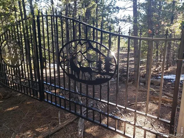 0 Forest Service 169 Lot #10 Road Red Feather Lakes, CO 80545