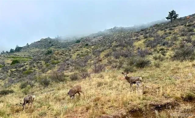 3050 W County Road 82e Livermore, CO 80536