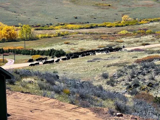 3050 W County Road 82e Livermore, CO 80536