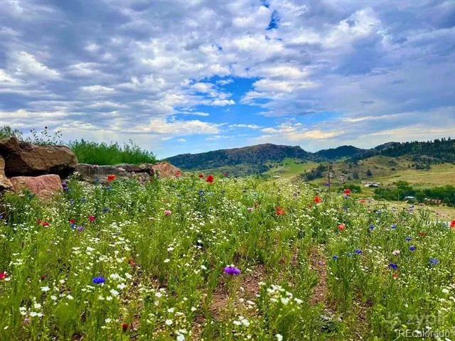 3050 W County Road 82e Livermore, CO 80536