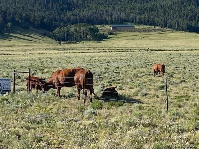 Eagle's Gate Road Westcliffe, CO 81252