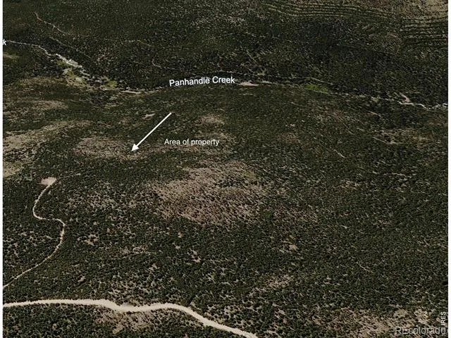 0 Forest Service 169 Lot #15 Road Red Feather Lakes, CO 80545