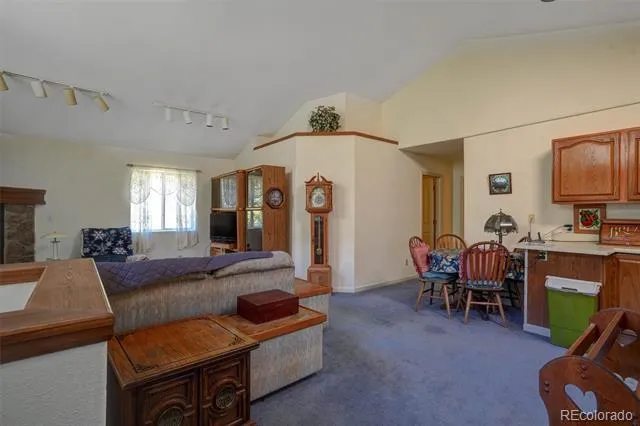 1206 Biddle Street Georgetown, CO 80444