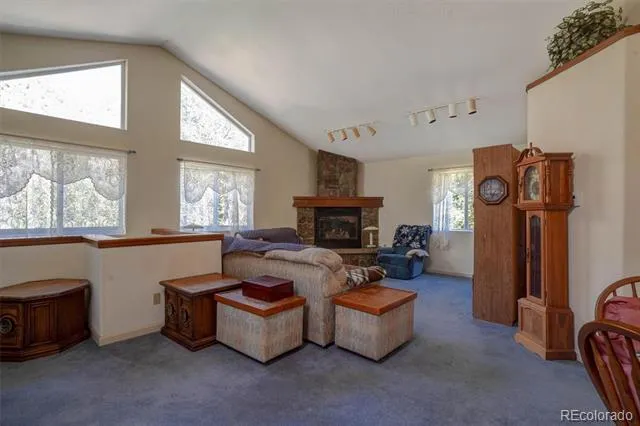 1206 Biddle Street Georgetown, CO 80444