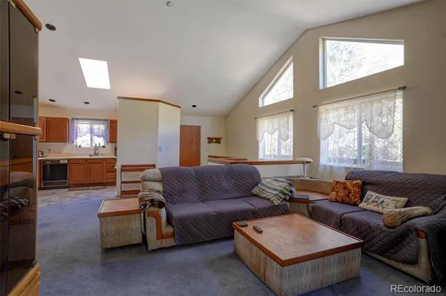 1206 Biddle Street Georgetown, CO 80444