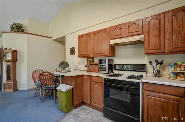 1206 Biddle Street Georgetown, CO 80444
