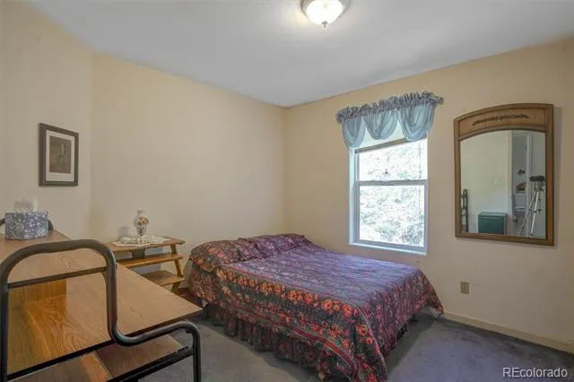 1206 Biddle Street Georgetown, CO 80444