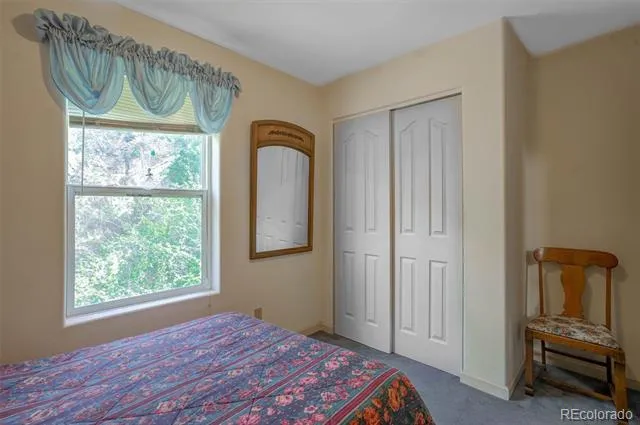 1206 Biddle Street Georgetown, CO 80444