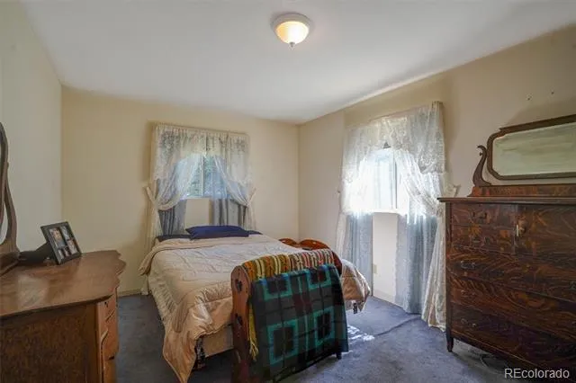 1206 Biddle Street Georgetown, CO 80444