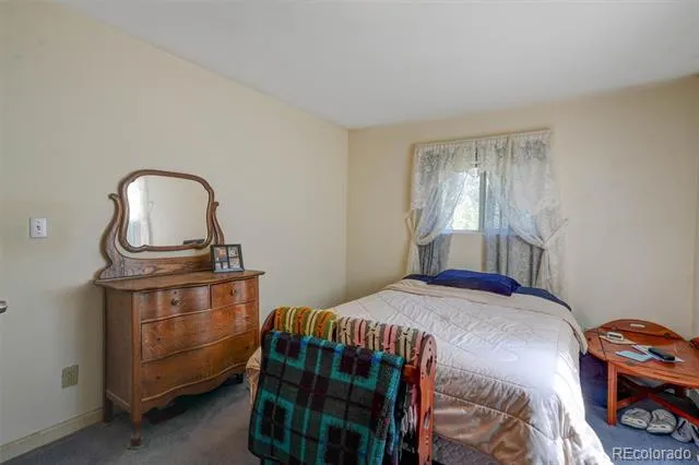 1206 Biddle Street Georgetown, CO 80444