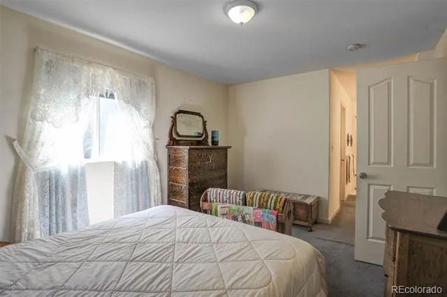 1206 Biddle Street Georgetown, CO 80444