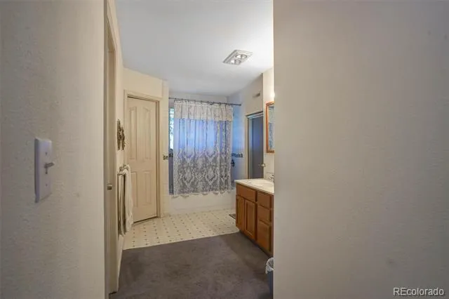 1206 Biddle Street Georgetown, CO 80444
