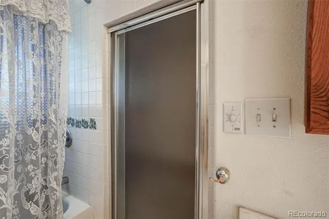 1206 Biddle Street Georgetown, CO 80444
