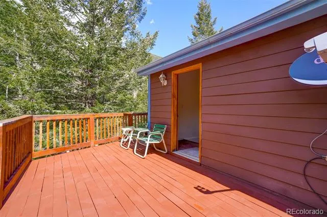 1206 Biddle Street Georgetown, CO 80444