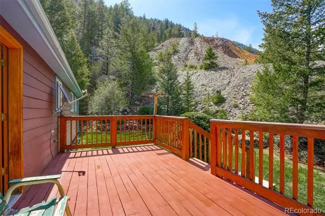 1206 Biddle Street Georgetown, CO 80444