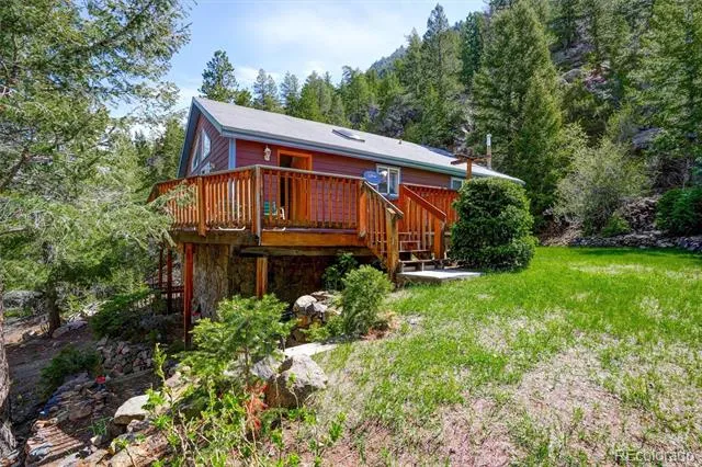 1206 Biddle Street Georgetown, CO 80444
