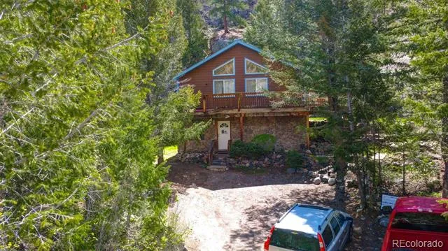 1206 Biddle Street Georgetown, CO 80444