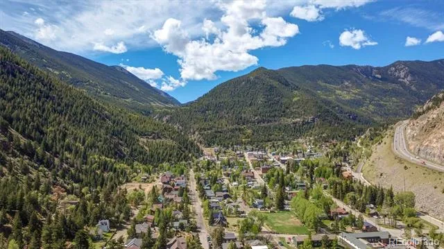 1206 Biddle Street Georgetown, CO 80444