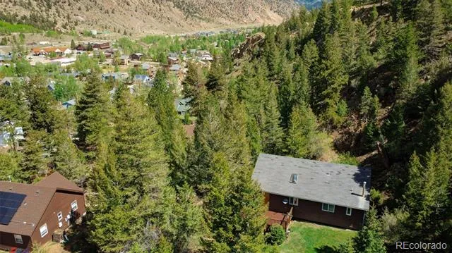 1206 Biddle Street Georgetown, CO 80444