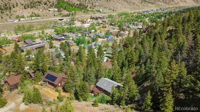 1206 Biddle Street Georgetown, CO 80444