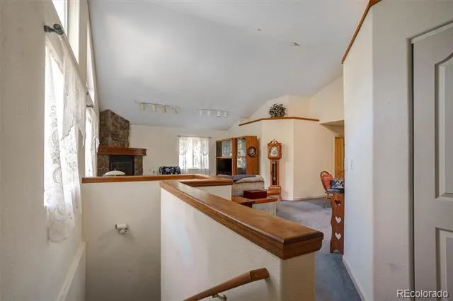 1206 Biddle Street Georgetown, CO 80444