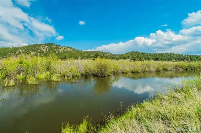 224 Lakeview Forest Heights Florissant, CO 80816